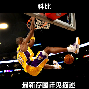 不动产证明查询